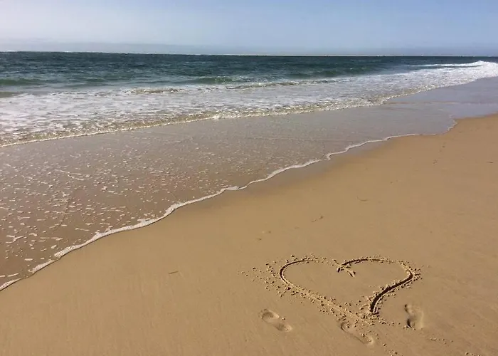 Ravissant 4 Personnes - Arbousiers アルカション