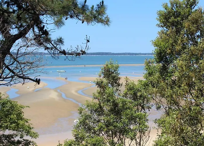 Ravissant 4 Personnes - Arbousiers